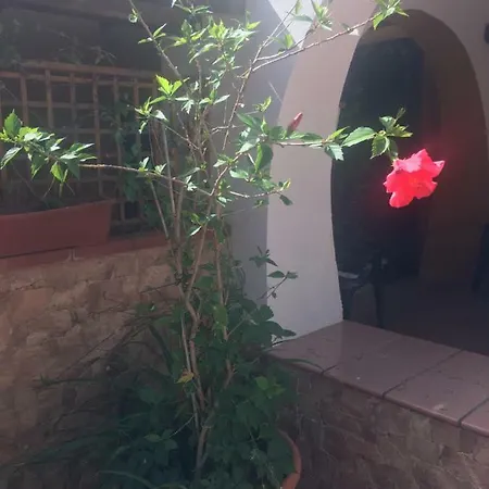 Appartamenti Cala Azzurra Scopello  Buitenkant foto